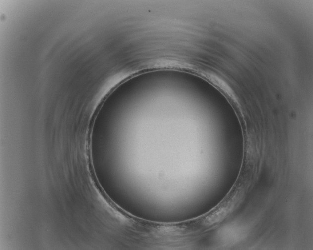 X0000062840847200601201636