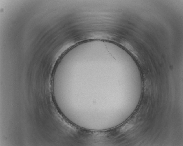 X0000062840848200601201636