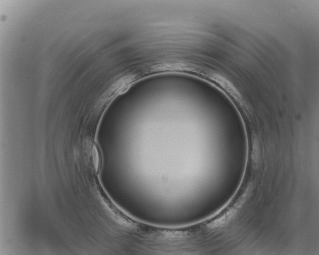 X0000062840849200601201636