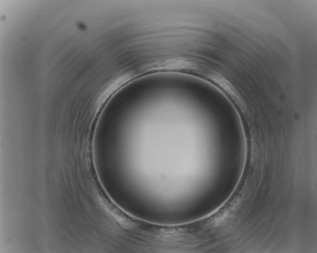 X0000062840850200601201636