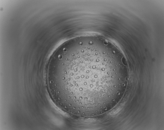 X0000062840851200601201636