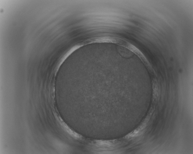 X0000062840852200601201636