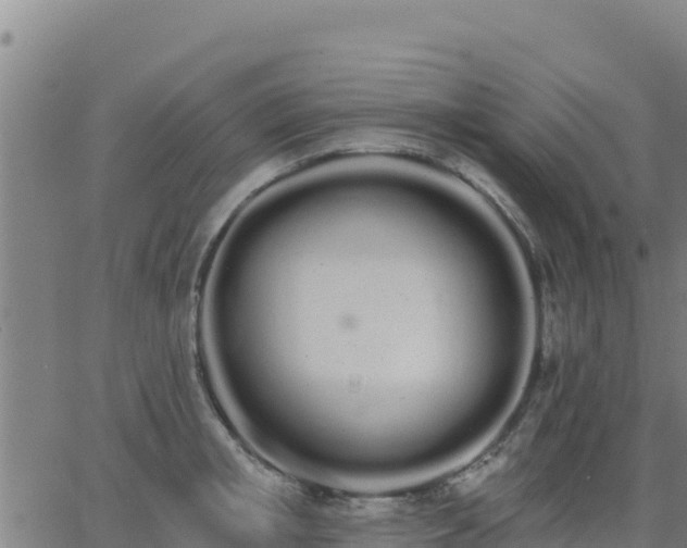 X0000062840853200601201636