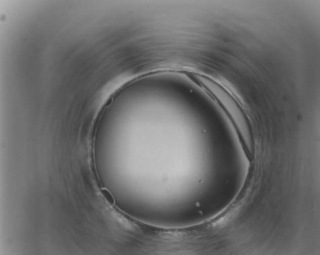 X0000062840854200601201636