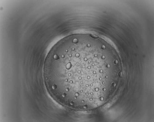 X0000062840855200601201636