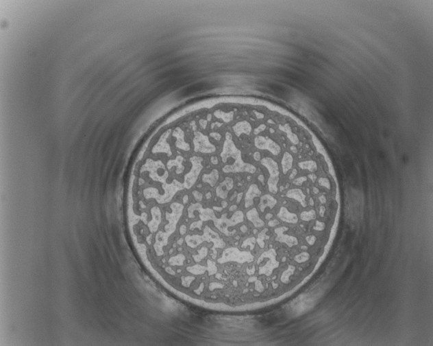 X0000062840856200601201636