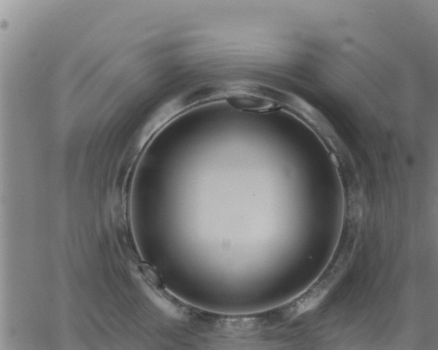 X0000062840858200601201636