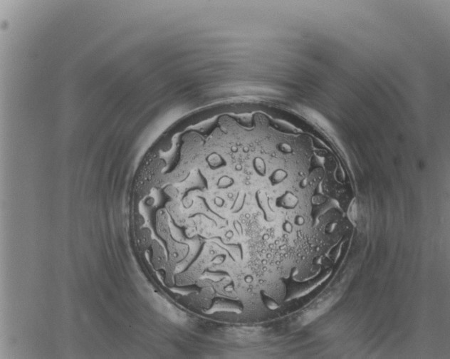 X0000062840859200601201636