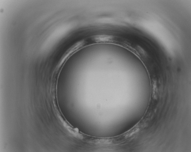 X0000062840861200601201636