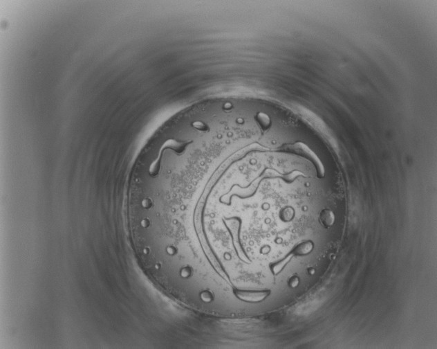 X0000062840863200601201636