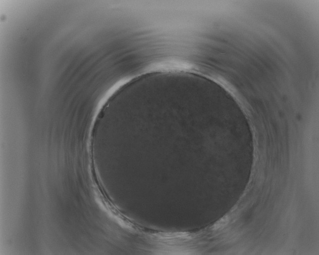 X0000062840864200601201636