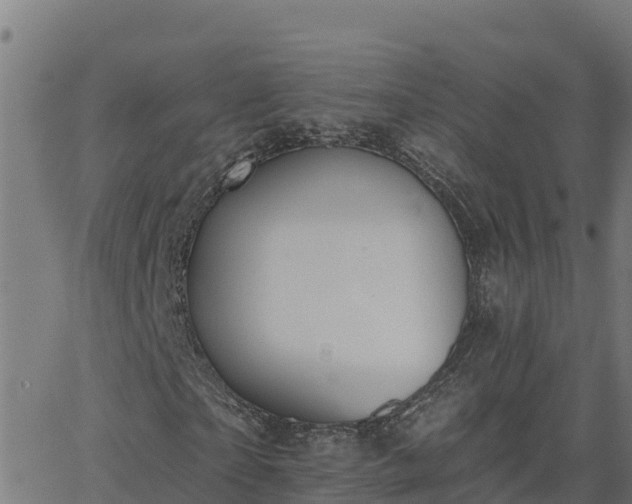 X0000062840865200601201635