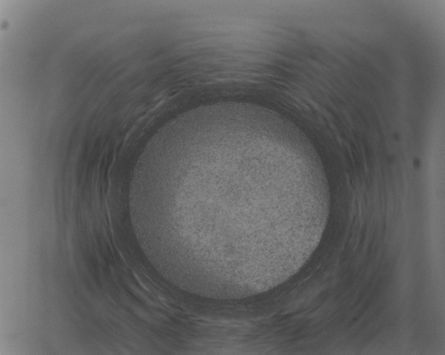 X0000062840866200601201635