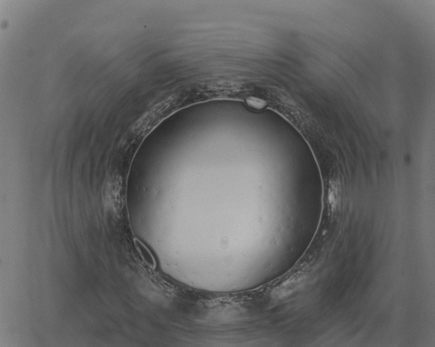 X0000062840867200601201635