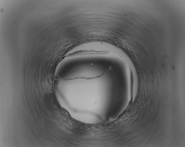 X0000062840868200601201635