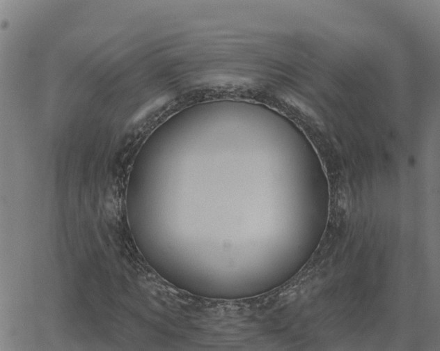 X0000062840869200601201635