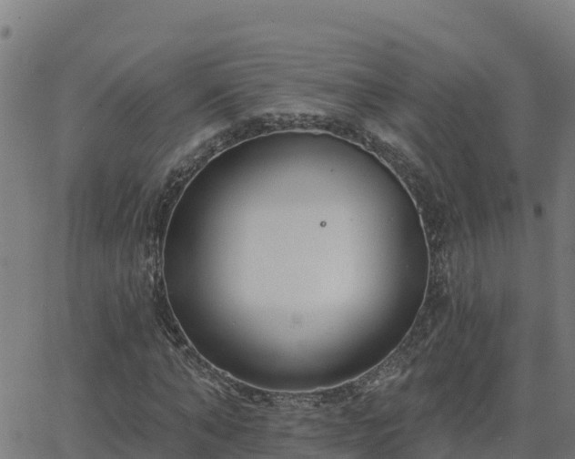 X0000062840870200601201635