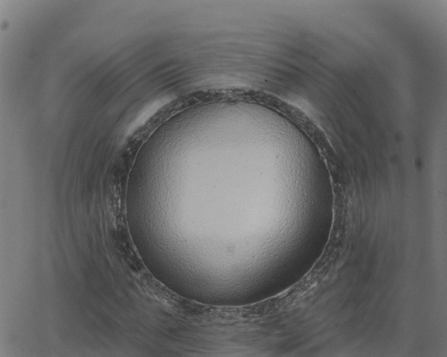 X0000062840871200601201635