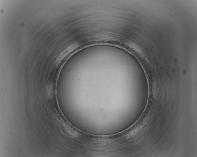 X0000062840873200601201635