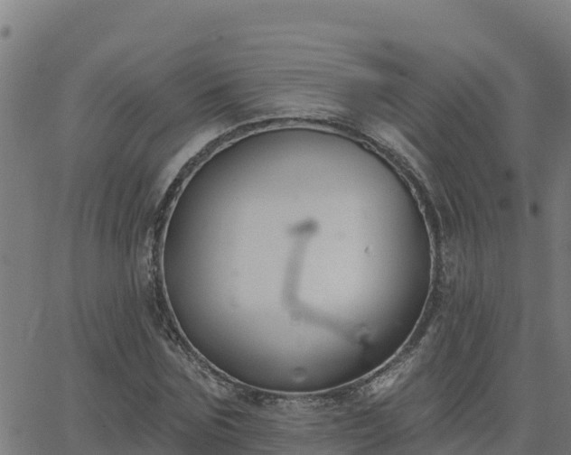 X0000062840875200601201635