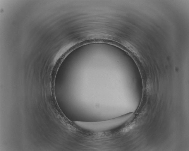 X0000062840877200601201635