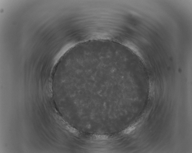 X0000062840878200601201635