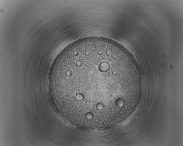 X0000062840879200601201635