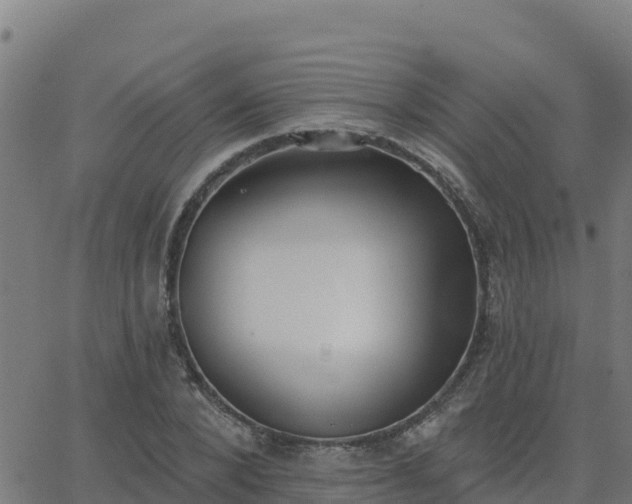 X0000062840880200601201635