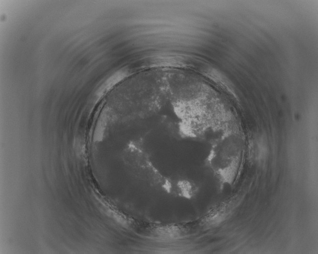 X0000062840882200601201635