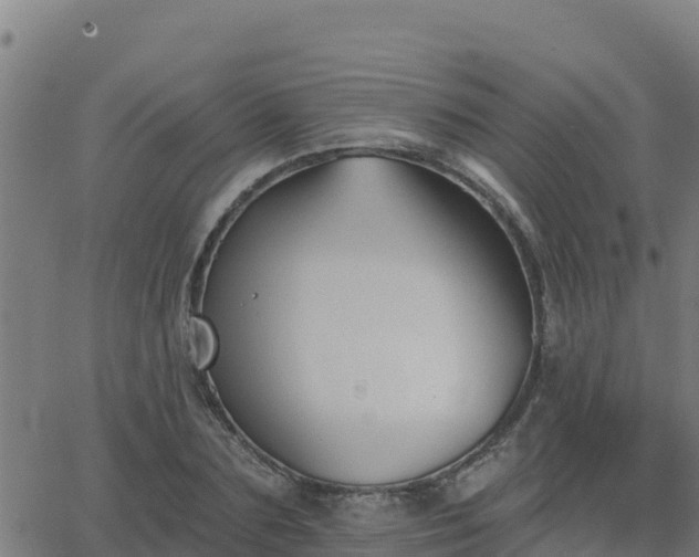 X0000062840883200601201635