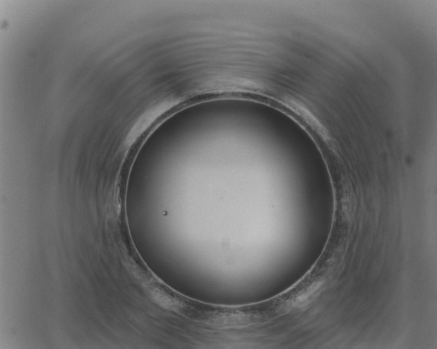 X0000062840885200601201635