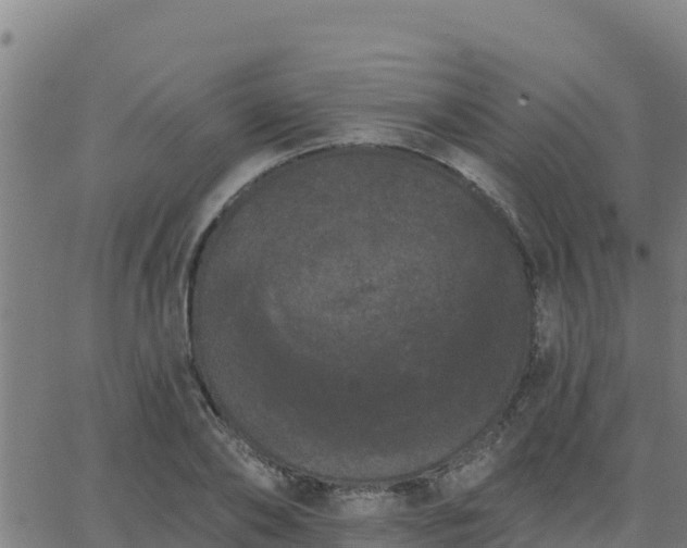 X0000062840886200601201635