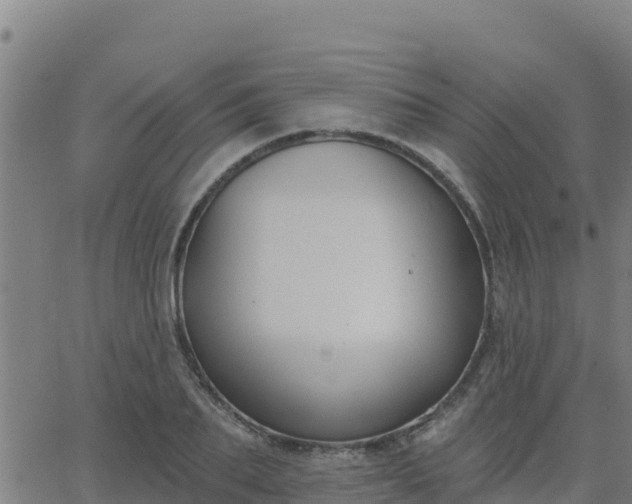 X0000062840887200601201635