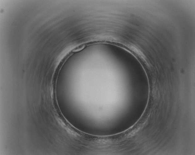 X0000062840888200601201635