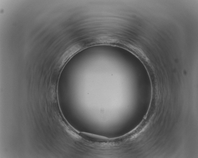 X0000062840889200601201635