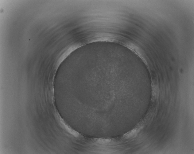 X0000062840890200601201635