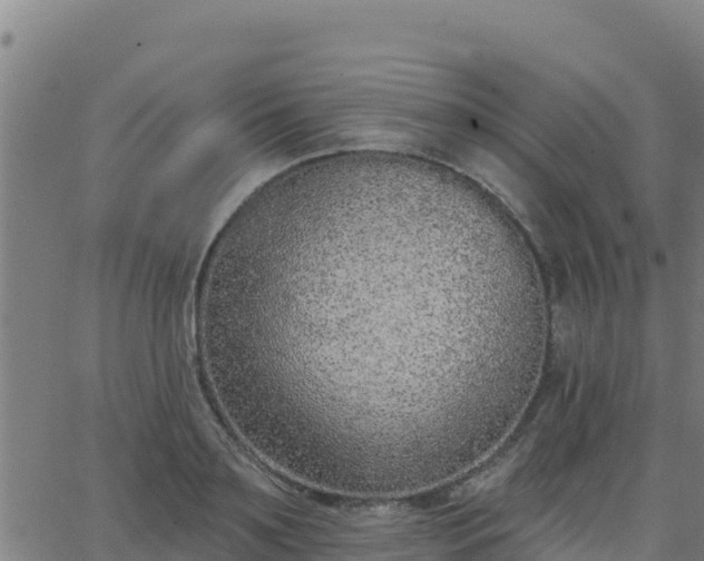 X0000062840891200601201635