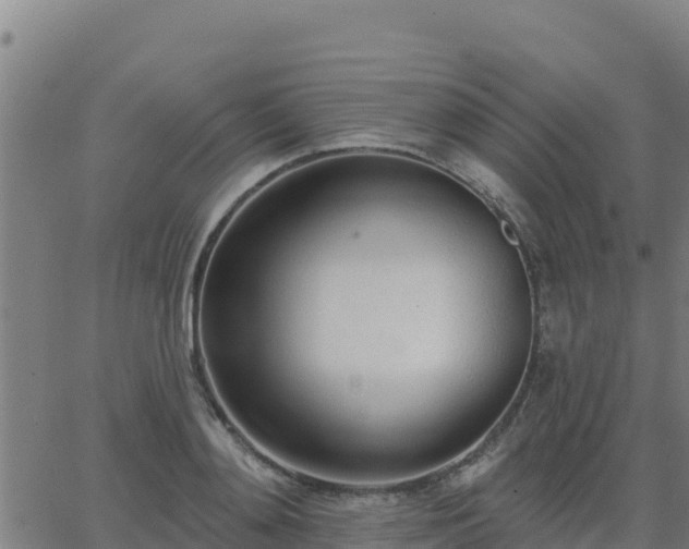 X0000062840892200601201635