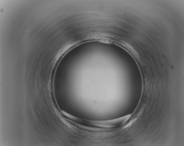 X0000062840893200601201635