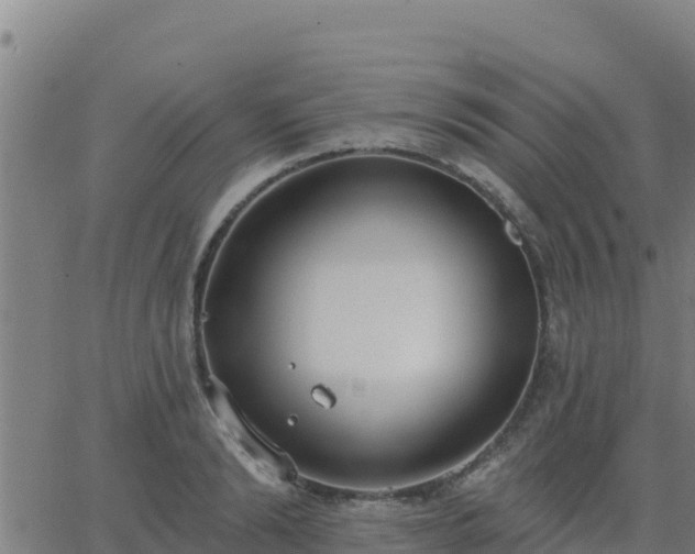 X0000062840894200601201635