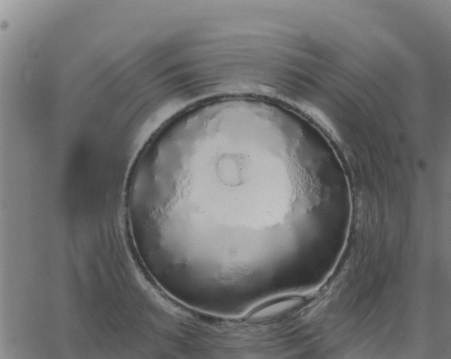 X0000062840895200601201635