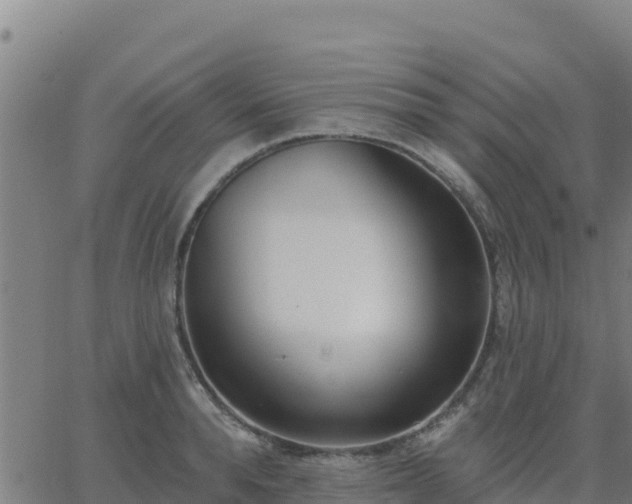 X0000062840896200601201635