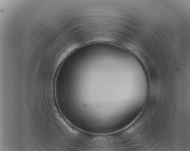 X0000062840898200601201635