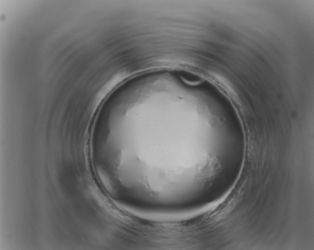 X0000062840899200601201635