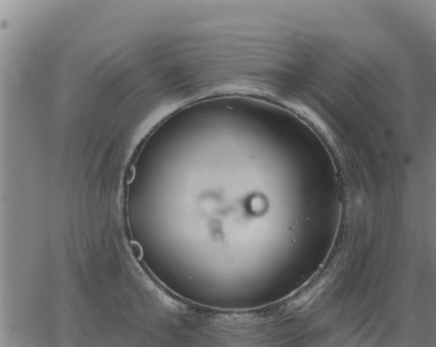 X0000062840902200601201635