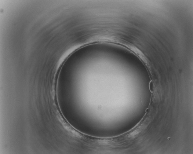 X0000062840904200601201635