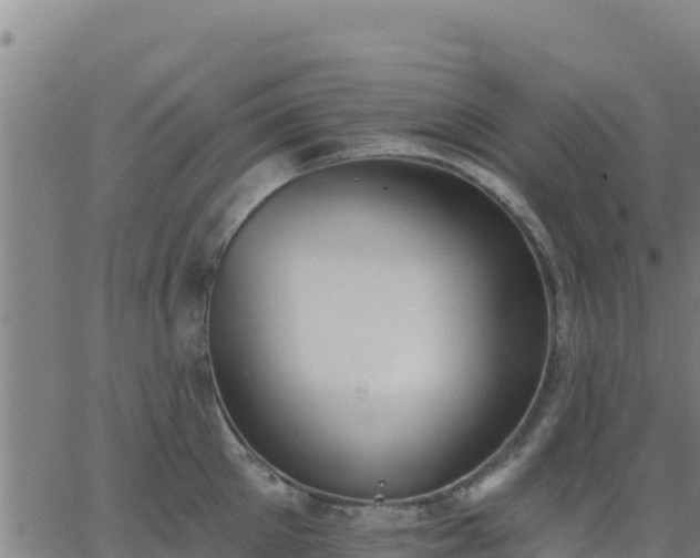 X0000062840905200601201635