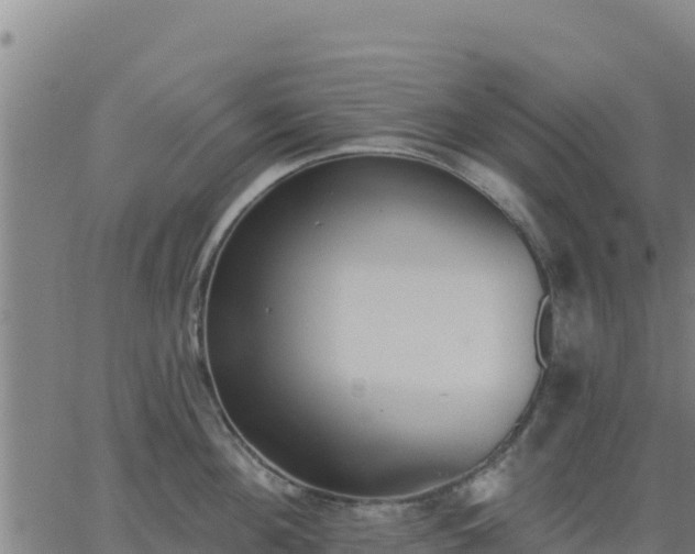 X0000062840908200601201635