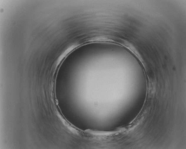 X0000062840909200601201635