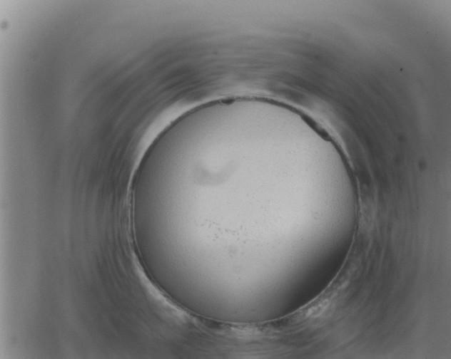 X0000062840911200601201635